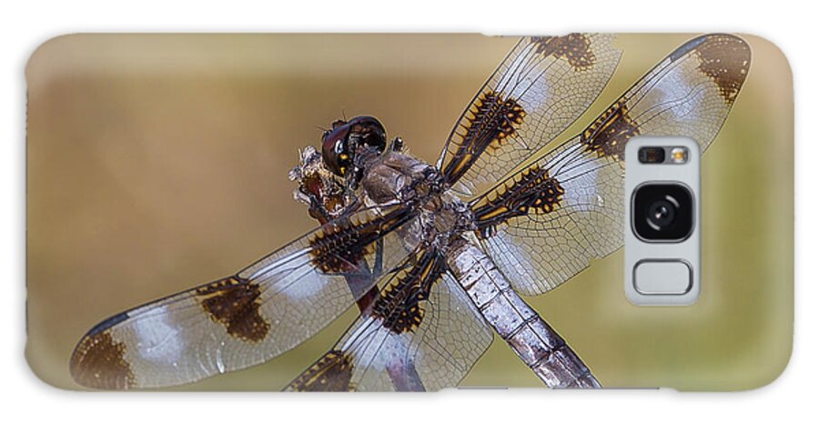Mark Mille Galaxy Case featuring the photograph Dragonfly #1 by Mark Mille