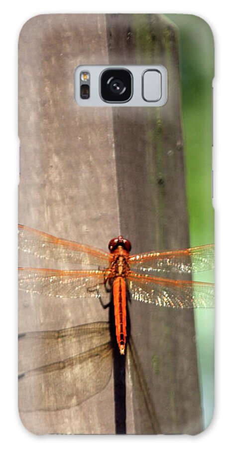 Insect Galaxy Case featuring the photograph Dragonfly9379 #1 by Carolyn Stagger Cokley