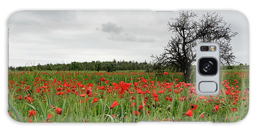 Poppy Anemone Galaxy Case featuring the photograph Field full of red beautiful poppy anemone flowers and a lonely dry tree. Spring time, spring landscape Cyprus. #1 by Michalakis Ppalis