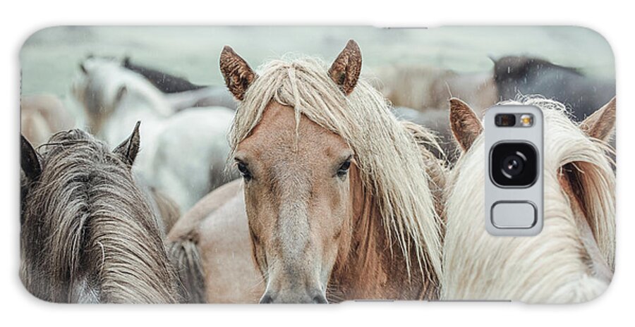 Photographs Galaxy Case featuring the photograph Go your own way II - Horse Art #1 by Lisa Saint