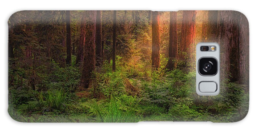 Hoh Galaxy S8 Case featuring the photograph HOH Rain Forest by Thomas Hall