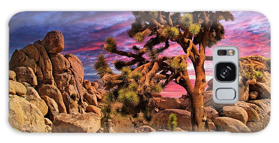 Joshua Tree Galaxy Case featuring the photograph Joshua Tree #1 by Russ Harris
