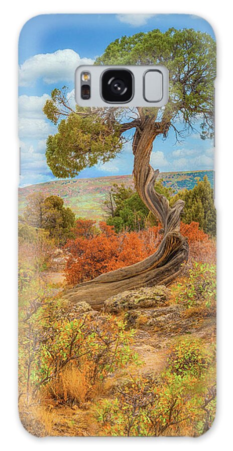 Juniper Tree Galaxy Case featuring the photograph Juniper Tree, Black Canyon of the Gunnison National Park, Colorado by Tom Potter