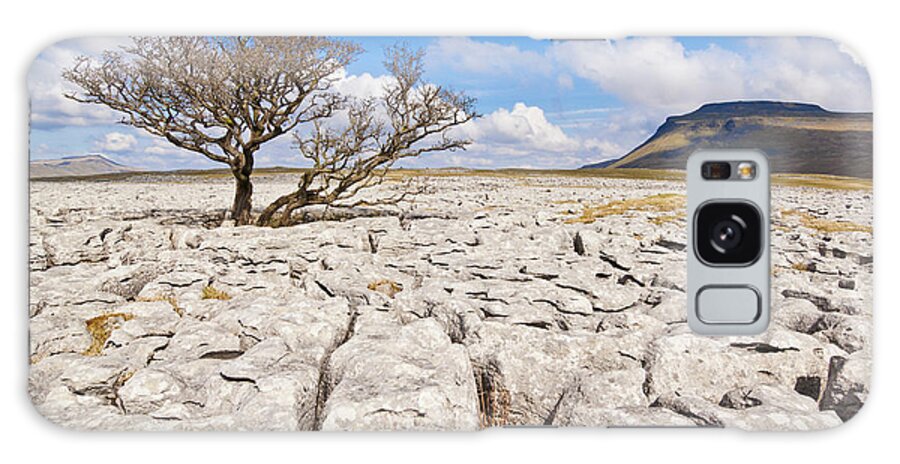 Tree Galaxy S8 Case featuring the photograph Limestone Pavement at White Scars, Ingleborough, Yorkshire Dales, England #1 by Neale And Judith Clark