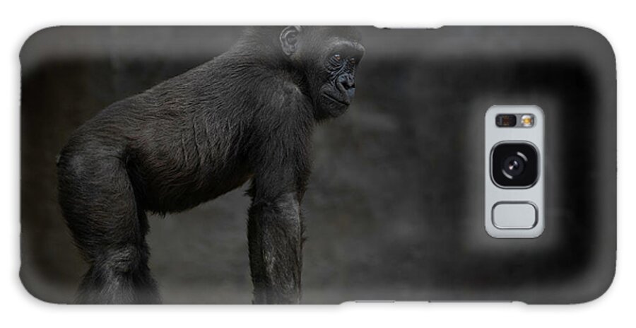 Larry Marshall Photography Galaxy Case featuring the photograph Little Chimp 3 #2 by Larry Marshall