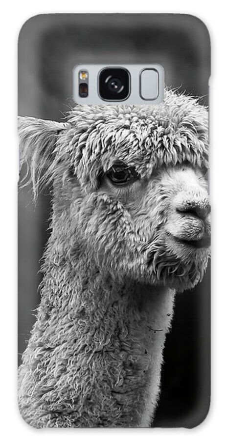 Llama Galaxy Case featuring the photograph Llama by Andrew Dickman