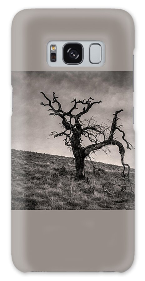 Lone Tree Galaxy Case featuring the photograph Naked lone tree on a hill by Alessandra RC