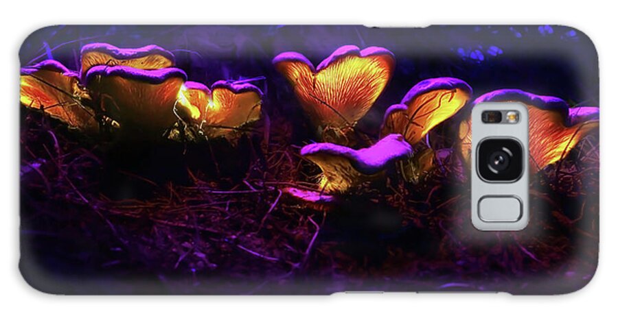 Nature Galaxy Case featuring the photograph Glowing Mushroom 6 by Benny Woodoo