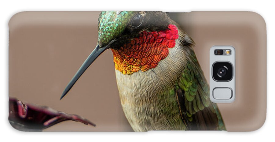 Ruby Throated Hummingbird Galaxy Case featuring the photograph Ruby Throated Hummingbird #1 by Sandra J's