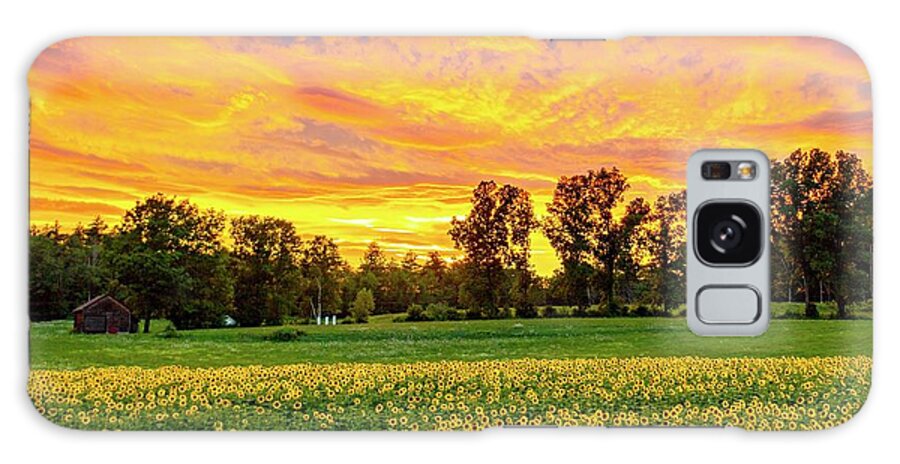  Galaxy Case featuring the photograph Sunset #1 by John Gisis