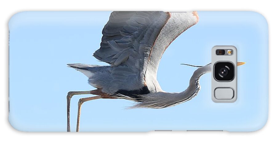 Great Blue Heron Galaxy Case featuring the photograph Taking Off by Mingming Jiang