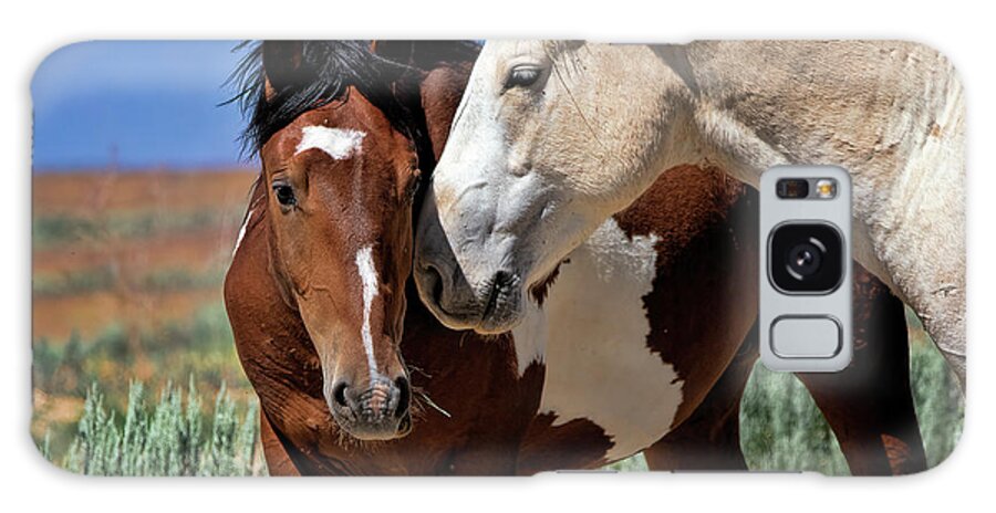 Mustang Galaxy Case featuring the photograph Terms of Endearment #2 by Jim Garrison