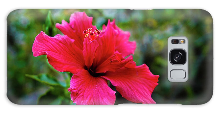 Hibiscus Galaxy Case featuring the photograph The Red Hibiscus #1 by Robert Bales