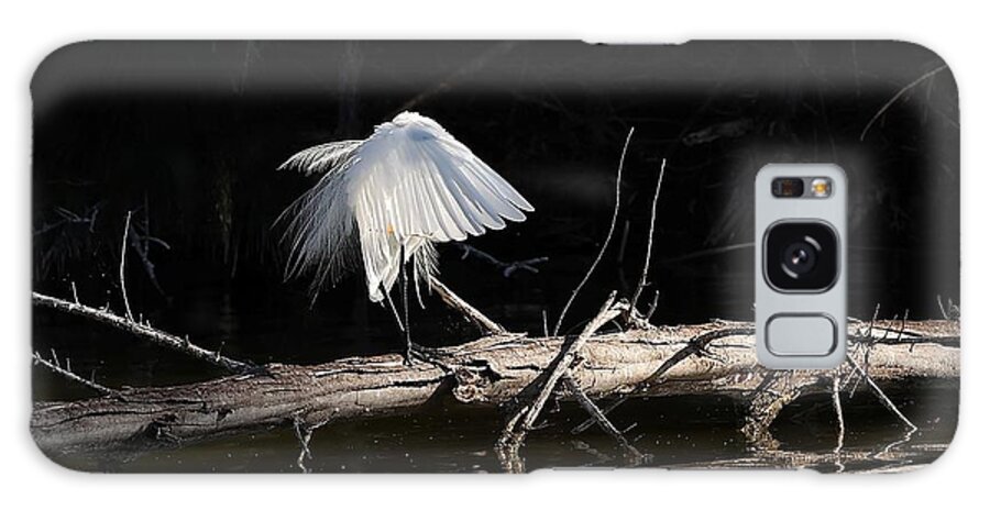 Great Egret Galaxy S8 Case featuring the photograph Tranquil Scenery 1 by Mingming Jiang