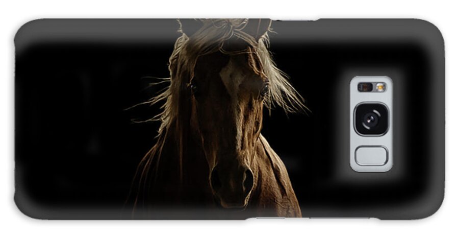 Horses Galaxy Case featuring the photograph Untitled #1 by Ryan Courson