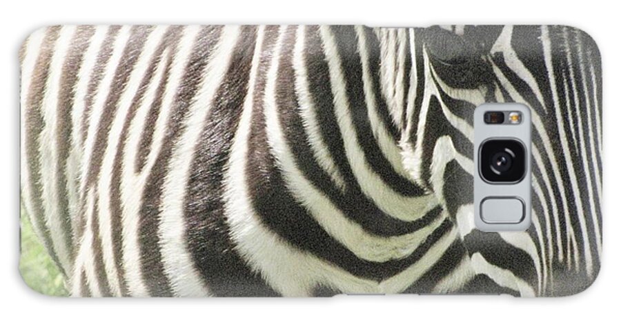 Animal Galaxy Case featuring the photograph Zebra Close Up #1 by World Reflections By Sharon