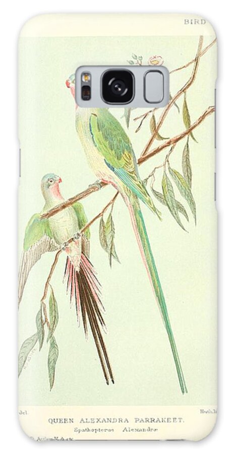Parrot Galaxy Case featuring the mixed media Beautiful Vintage Parrot #159 by World Art Collective