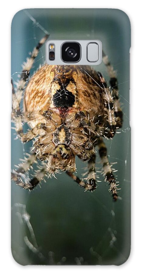 Wildlife Galaxy Case featuring the photograph Beautiful Wildlife Photography #16 by World Art Collective