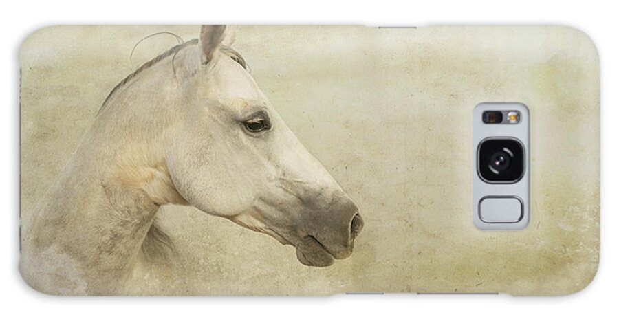 Horses Galaxy Case featuring the photograph Untitled #19 by Ryan Courson