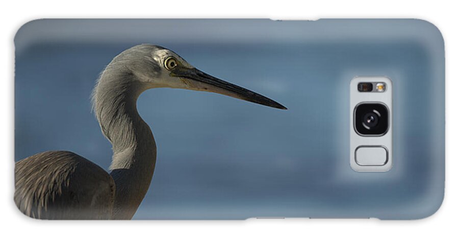 Heron Galaxy Case featuring the photograph 1808wfaceheron1 by Nicolas Lombard