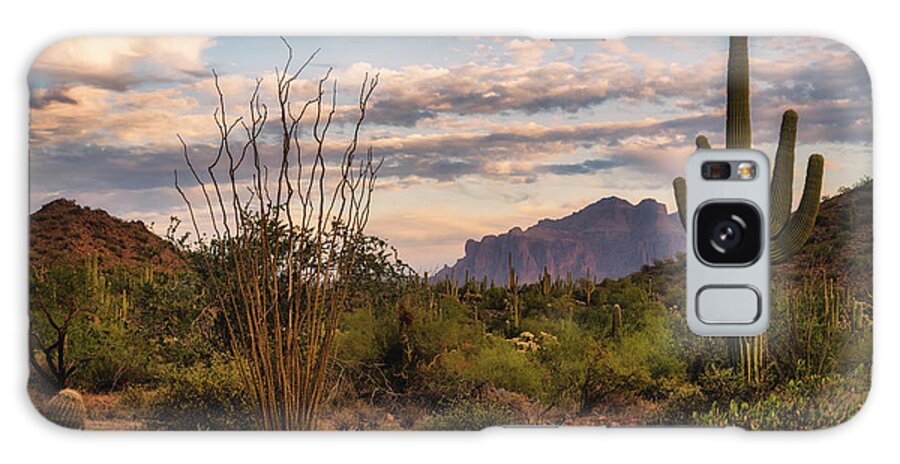 Saguaro Sunset Galaxy S8 Case featuring the photograph A Beautiful Desert Evening #2 by Saija Lehtonen