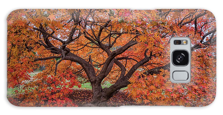 Washington D.c. Galaxy Case featuring the photograph Autumn In DC by Robert Fawcett