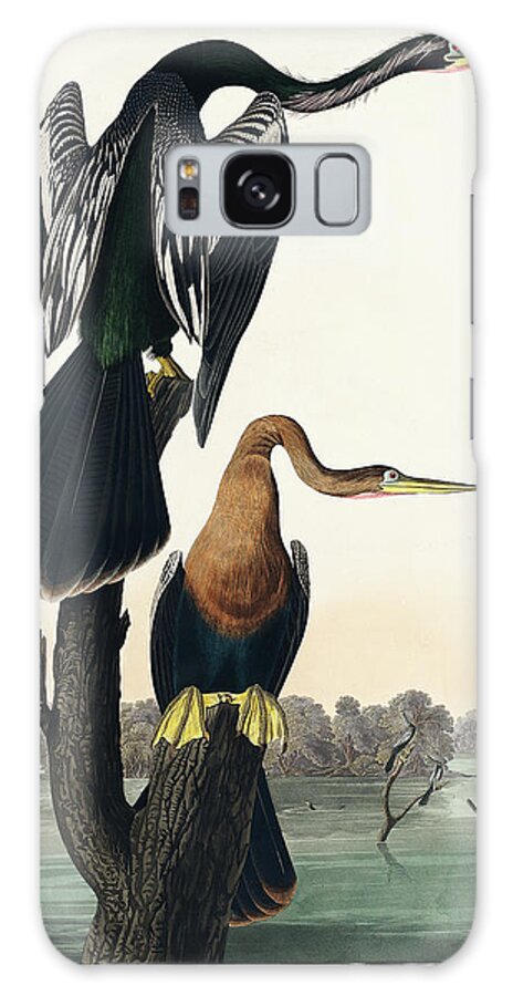 Audubon Birds Galaxy Case featuring the drawing Black-bellied Darter #2 by John James Audubon