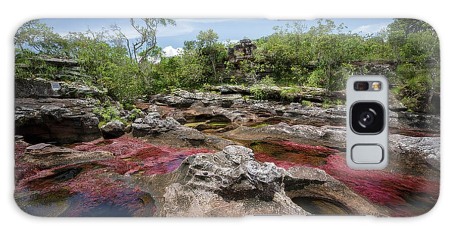 Caño Cristales Galaxy Case featuring the photograph Cano Cristales La Macarena Meta Colombia #2 by Tristan Quevilly