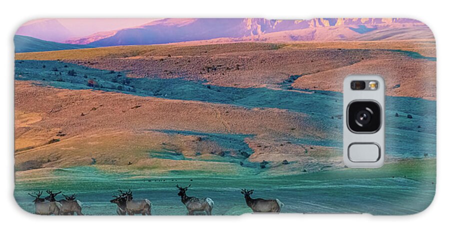 Elk Galaxy Case featuring the photograph Elk At Sunrise #2 by Gary Beeler