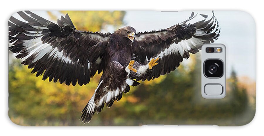 Golden Eagle Galaxy Case featuring the photograph Golden Eagle #2 by CR Courson