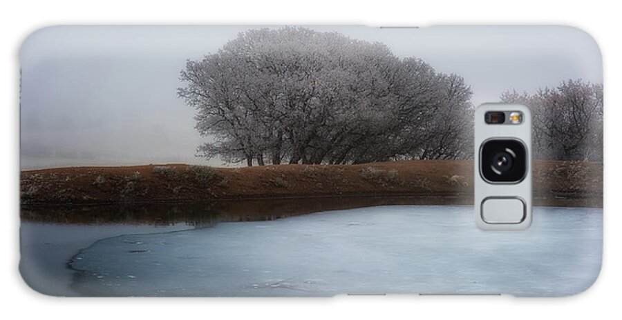 Co Galaxy Case featuring the photograph Hoar Frost #3 by Doug Wittrock