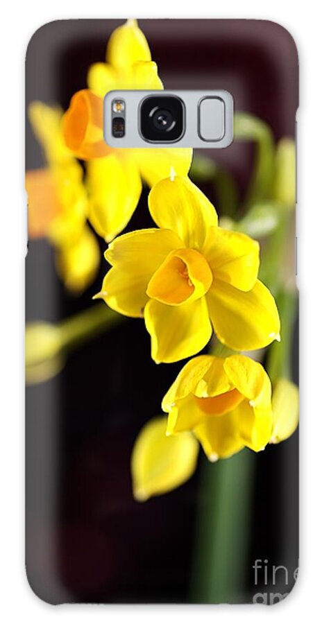 Daffodil Galaxy S8 Case featuring the photograph Jonquil #2 by Joy Watson