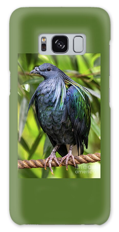 Nicobar Pigeon Galaxy Case featuring the photograph Nicobar pigeon, the only living member of the genus Caloenas, an #2 by Jane Rix