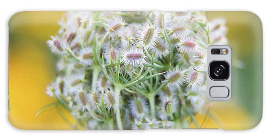 Queen Annes Lace Galaxy Case featuring the photograph Queen Anne's Lace #2 by Chris Scroggins