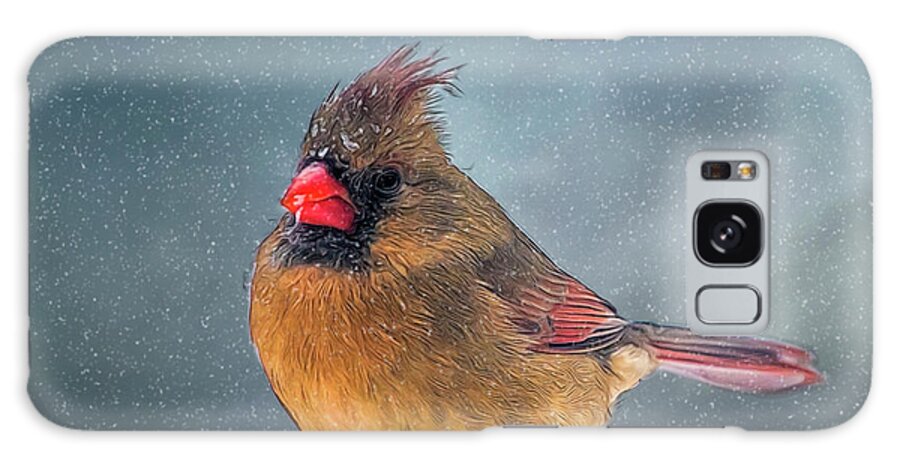 Bird Galaxy Case featuring the photograph Winter Cardinal by Cathy Kovarik