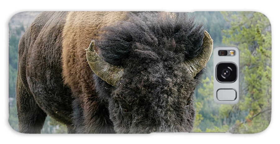 Yellowstone Galaxy Case featuring the photograph Bison #3 by Patrick Nowotny