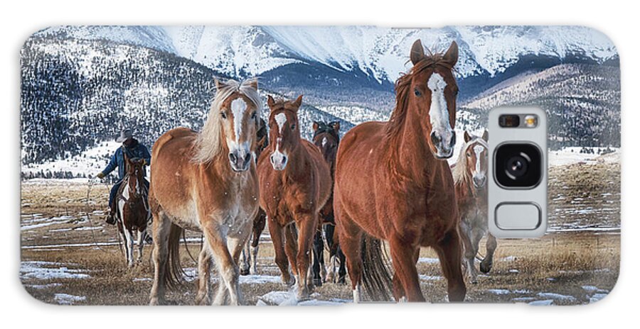 Horses Galaxy Case featuring the photograph Colorado Horses #3 by David Soldano