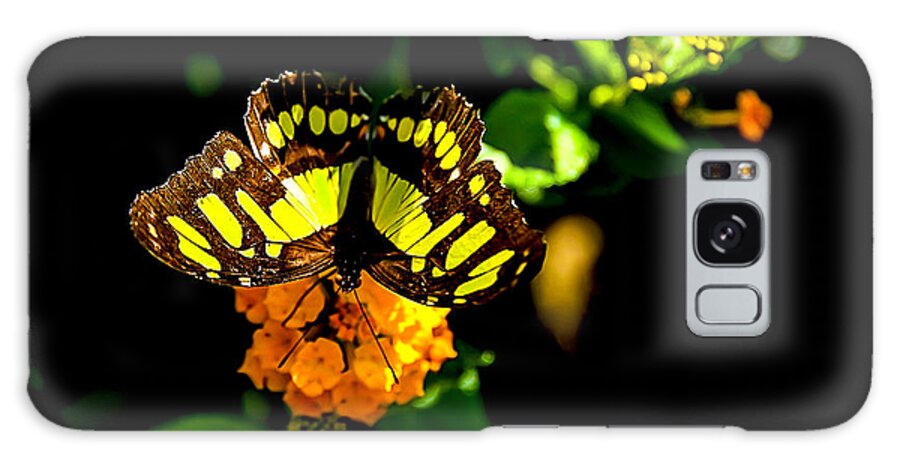 Malachite Butterfly Galaxy Case featuring the digital art Malachite Butterfly #4 by Tammy Keyes