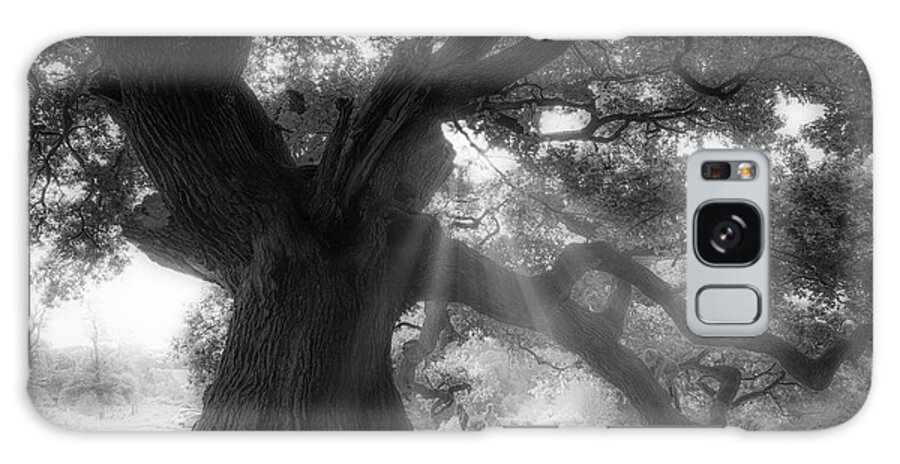 Trees Galaxy Case featuring the photograph Old oak #4 by Remigiusz MARCZAK