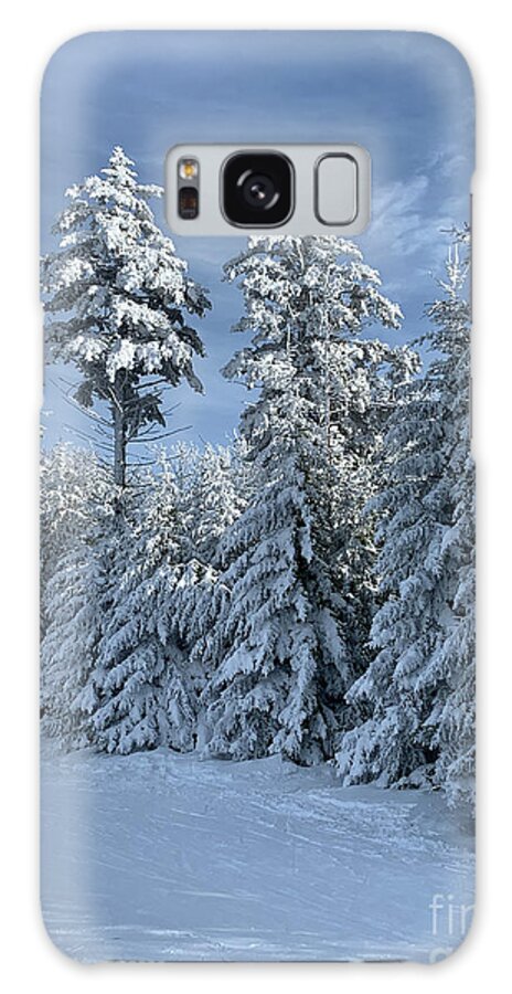  Galaxy Case featuring the photograph Winter Wonderland #7 by Annamaria Frost