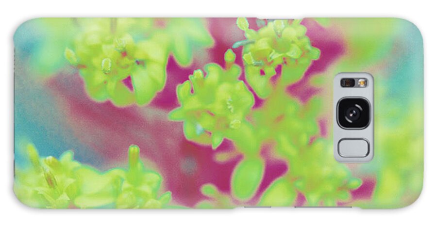 Flower Galaxy Case featuring the photograph 90s Ragweed by Nicole March