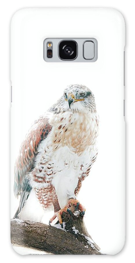 Eagle Photo Galaxy Case featuring the mixed media Beautiful Birds Of Prey #95 by The Map Man