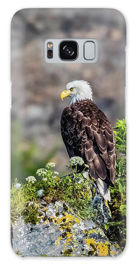 Eagle Galaxy Case featuring the photograph Bald eagle sitting on the rock by Lyl Dil Creations