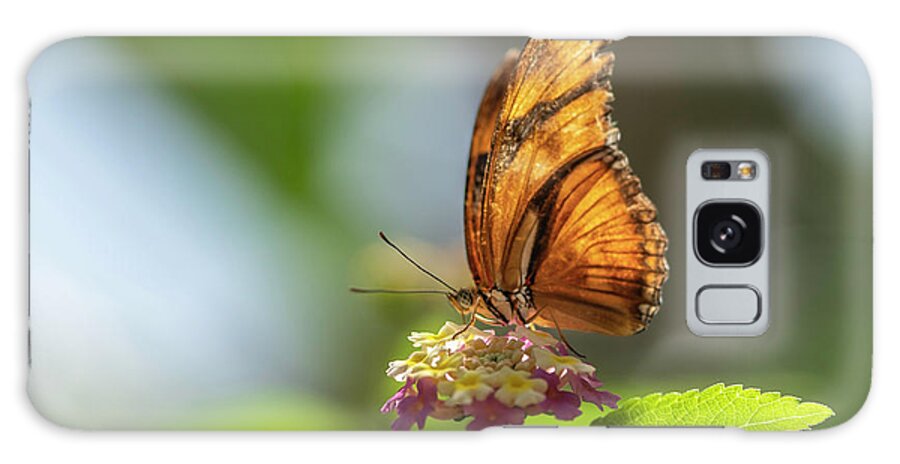 Insect Galaxy Case featuring the photograph A Beauty by Cathy Donohoue