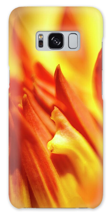 Orange Galaxy Case featuring the photograph A Bee's View by Tony Locke