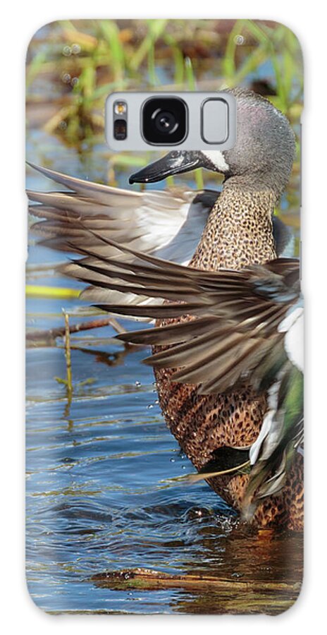 Birds Galaxy Case featuring the photograph A Blue-winged Teal by David Lee