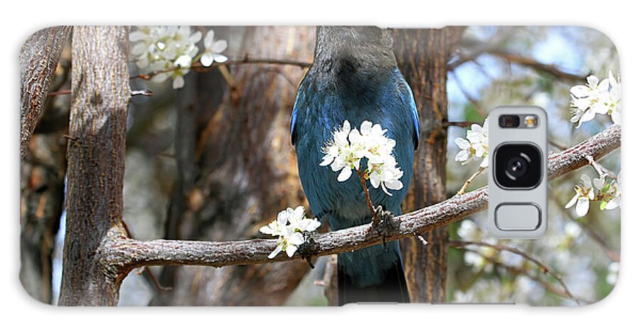 Stellers Jay Galaxy S8 Case featuring the photograph A Bouquet for You by Donna Kennedy