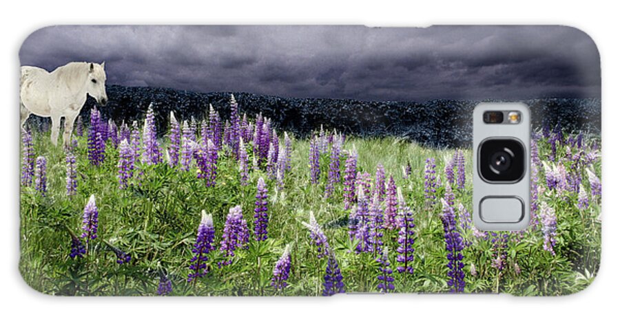 Lupinefest Galaxy Case featuring the photograph A Childs Dream Among Lupine by Wayne King