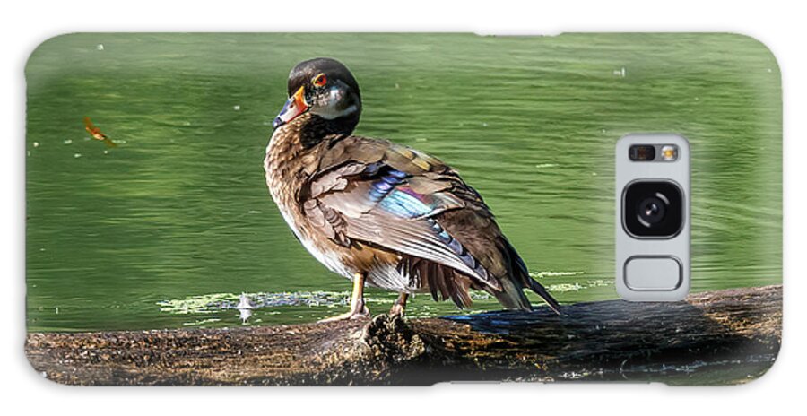 Duck Galaxy Case featuring the photograph A Duck by David Beechum
