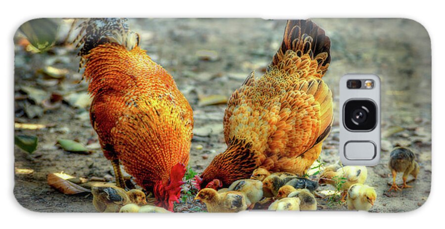 Family Galaxy Case featuring the digital art A Family of Chickens by Cindy Collier Harris